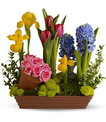 Spring Favorites from Maplehurst Florist, local flower shop in Essex Junction